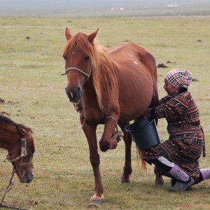 KIRGHIZISTAN - IMG_0148_800x533_6ee300ff874a1c1fc7631f019f443a0a